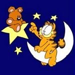 pic for Garfield Stars